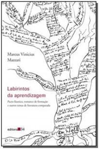 Labirintos da aprendizagem