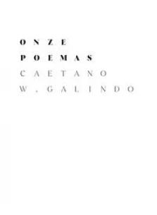 Onze poemas