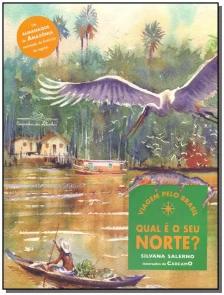 Qual é o seu norte?