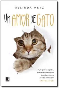 Um amor de gato